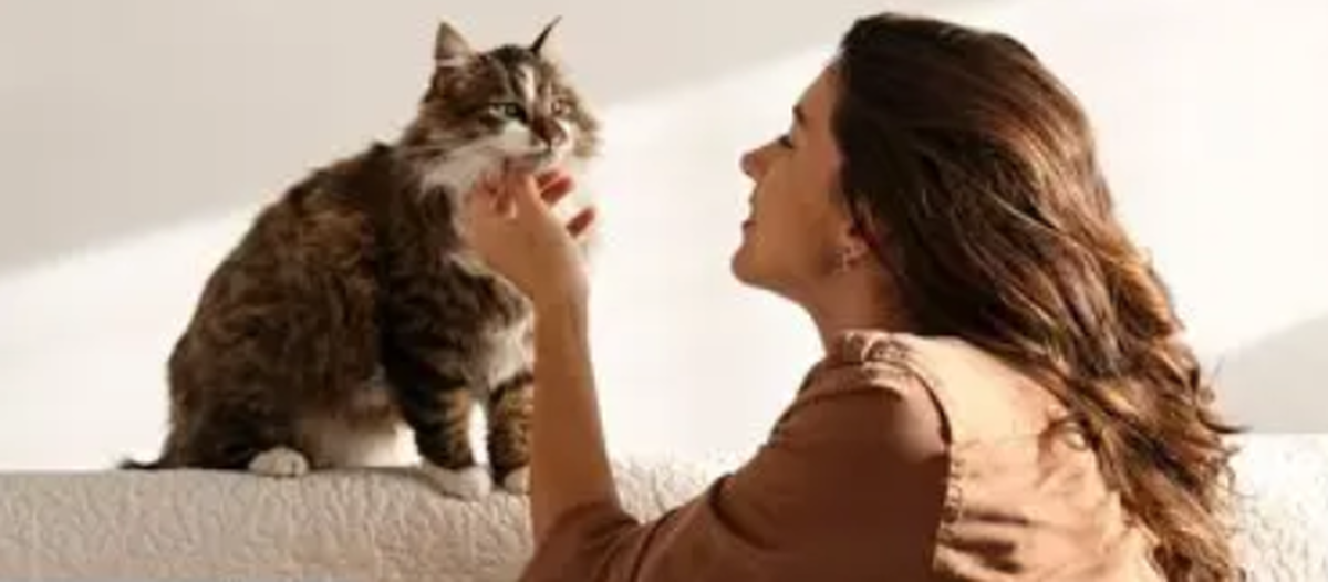 هوش مصنوعی صدای حیوانات خانگی را ترجمه میکند!