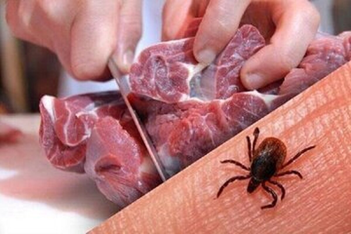 جان باختن بیمار فسایی در پی ابتلا به تب کریمه کنگو