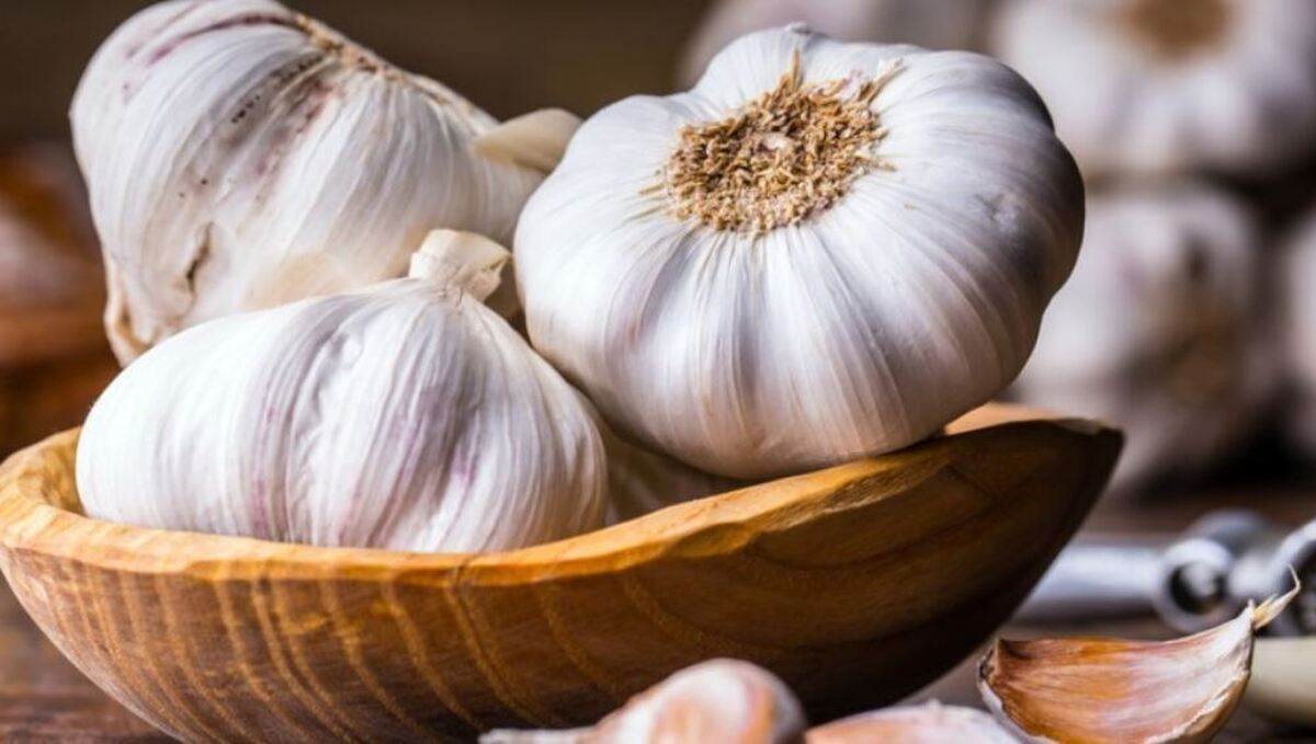 با این گیاه جادویی به جنگ سرطان بروید