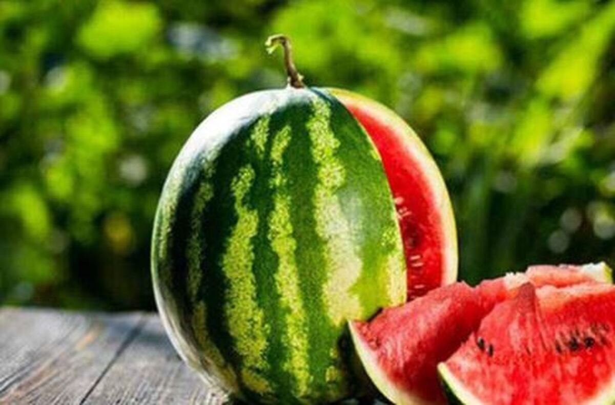 هندوانه میوه‌ای سرشار از ویتامین و فیبر!