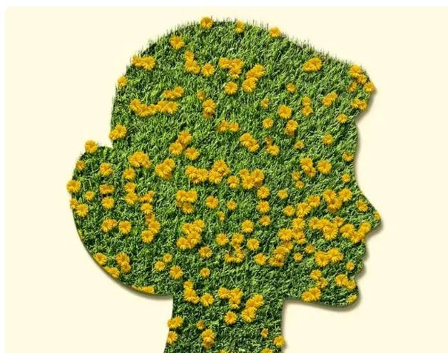 بهبود کیفیت زندگی با سه راهکار کلیدی برای پرورش شادی