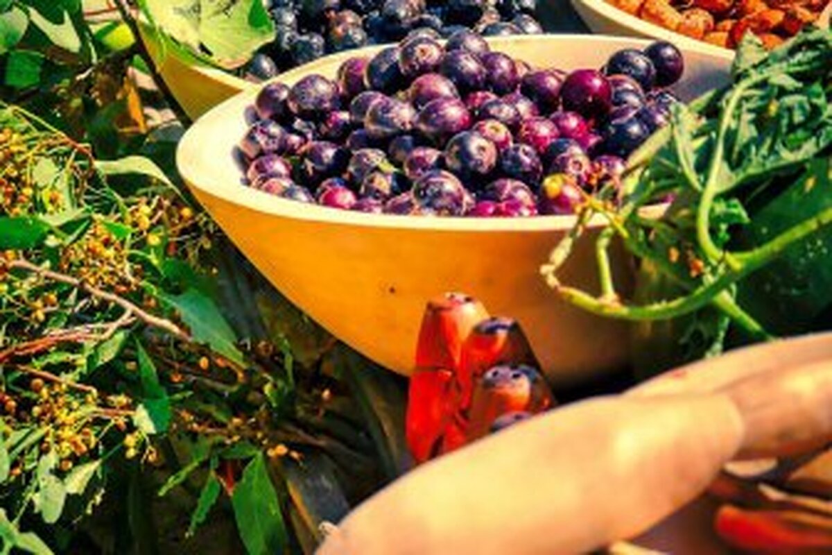 رژیم غذایی غربی باعث التهاب می‌شود، غذای آفریقایی محافظت می‌کند