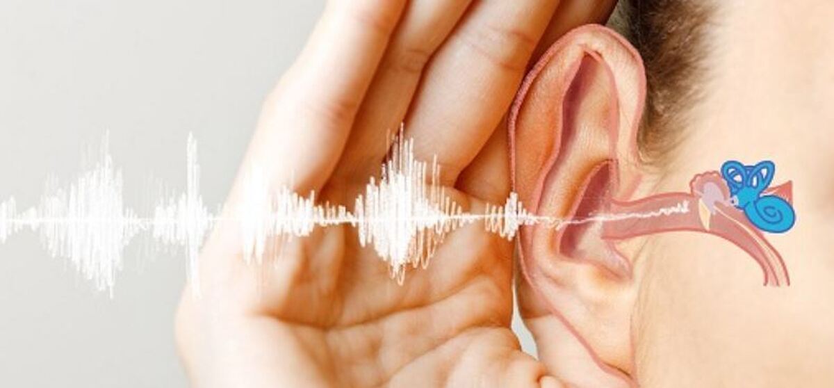 موثر‌ترین راه در بهره بی از تمامی خواص میوه‌های آب گرفته شده