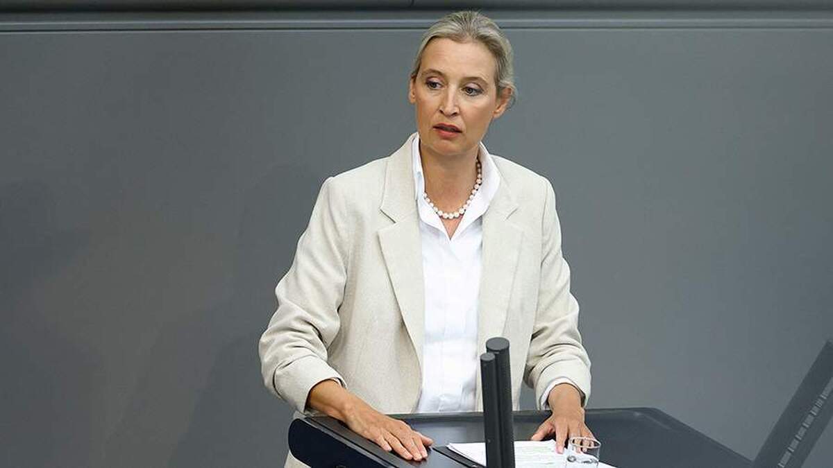 رهبر حزب AfD بر لزوم از سرگیری واردات گاز طبیعی از روسیه تأکید کرد