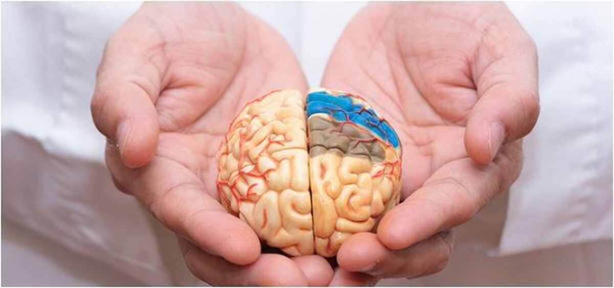 راهکار‌های جلوگیری از کوچک شدن مغز