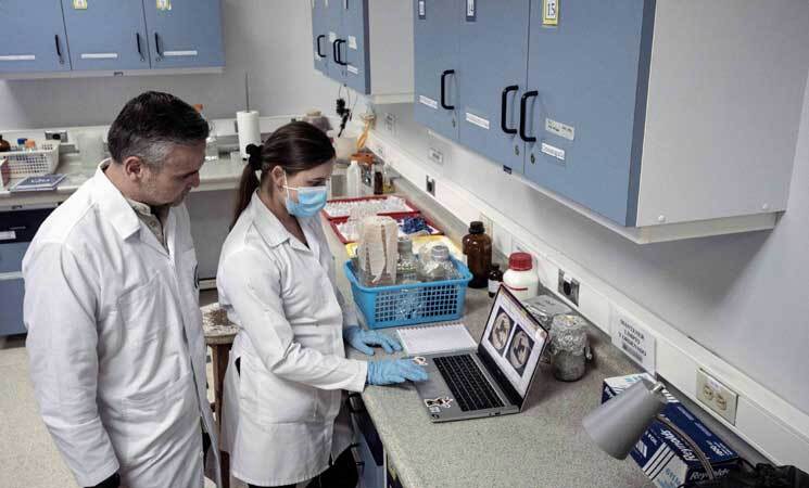 آیا تنبل‌ها آنتی‌بیوتیک‌های آینده را حمل می‌کنند؟ + عکس‌ها