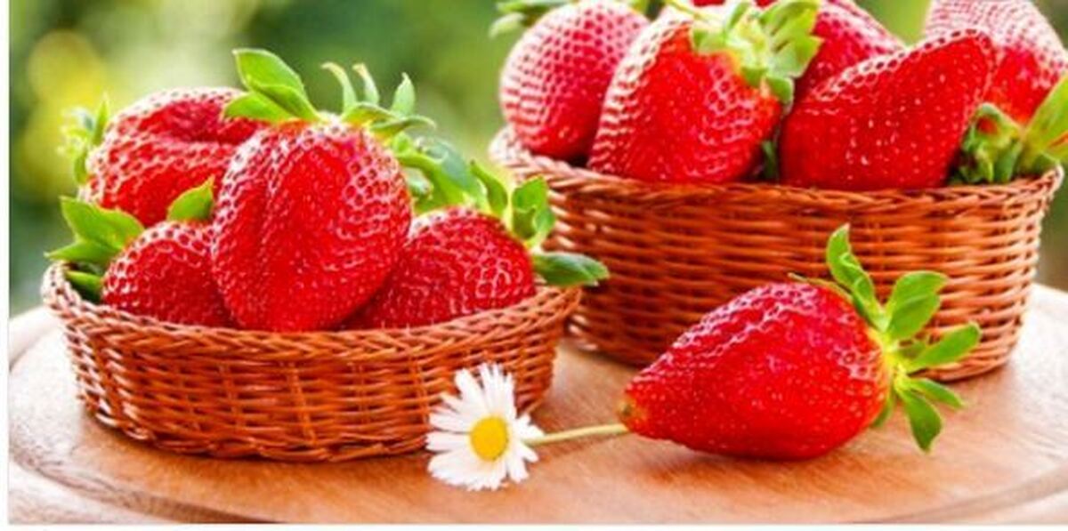 مصرف روزانه توت فرنگی برای چی خوبه؟