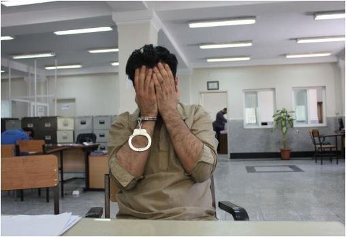 سرقت حرفه‌ای موبایل در تهران با همدستی برادر دو قلو!