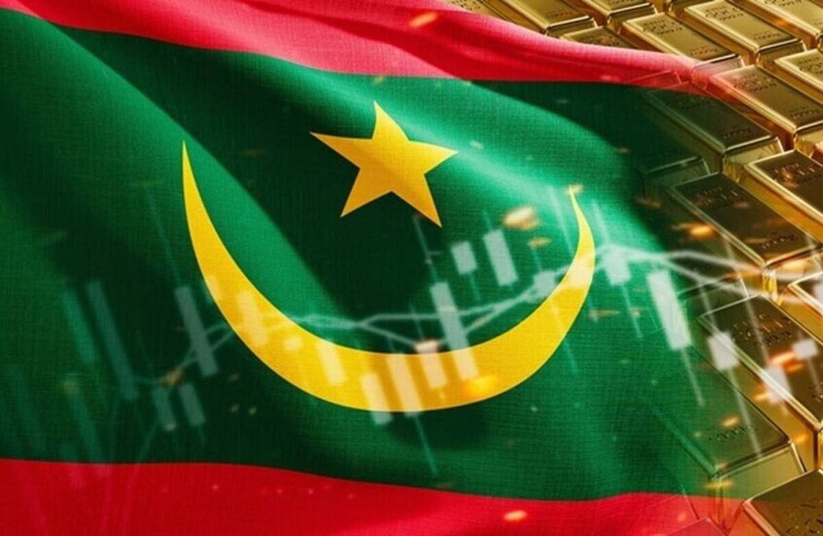 موریتانی| دو کاوشگر در بمب گذاری هواپیمای بدون سرنشین در 