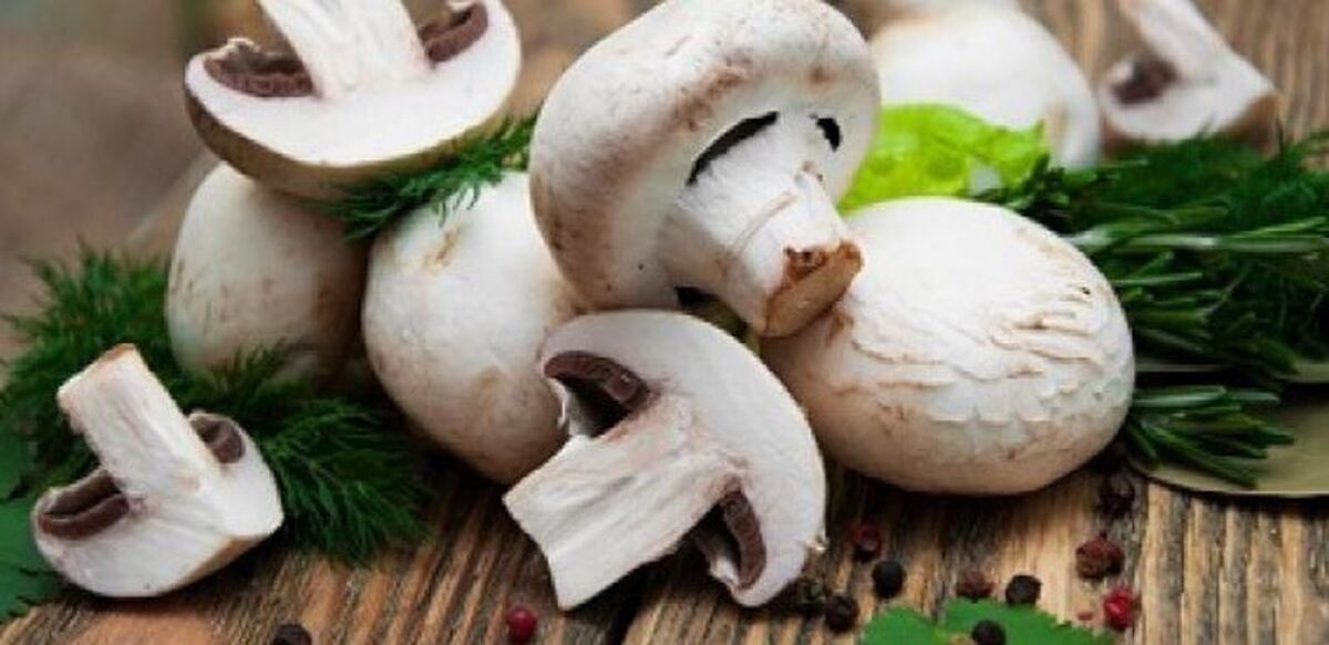 این ماده غذایی سرشار از ویتامین D است