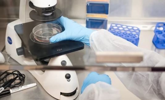 بازنویسی DNA نوزاد مبتلا به یک بیماری ژنتیکی نادر برای نخستین بار در جهان