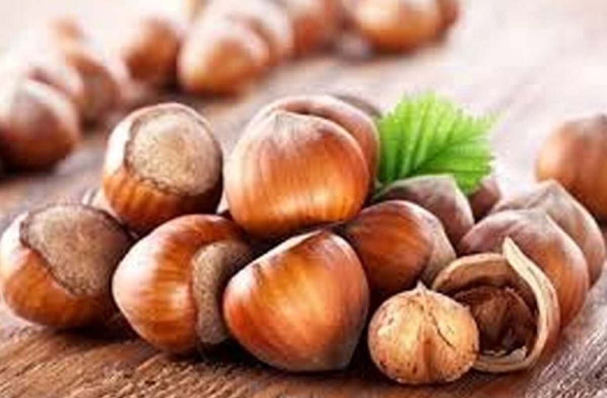 این آجیل پر طرفدار سرشار از ویتامین‌های مفید است