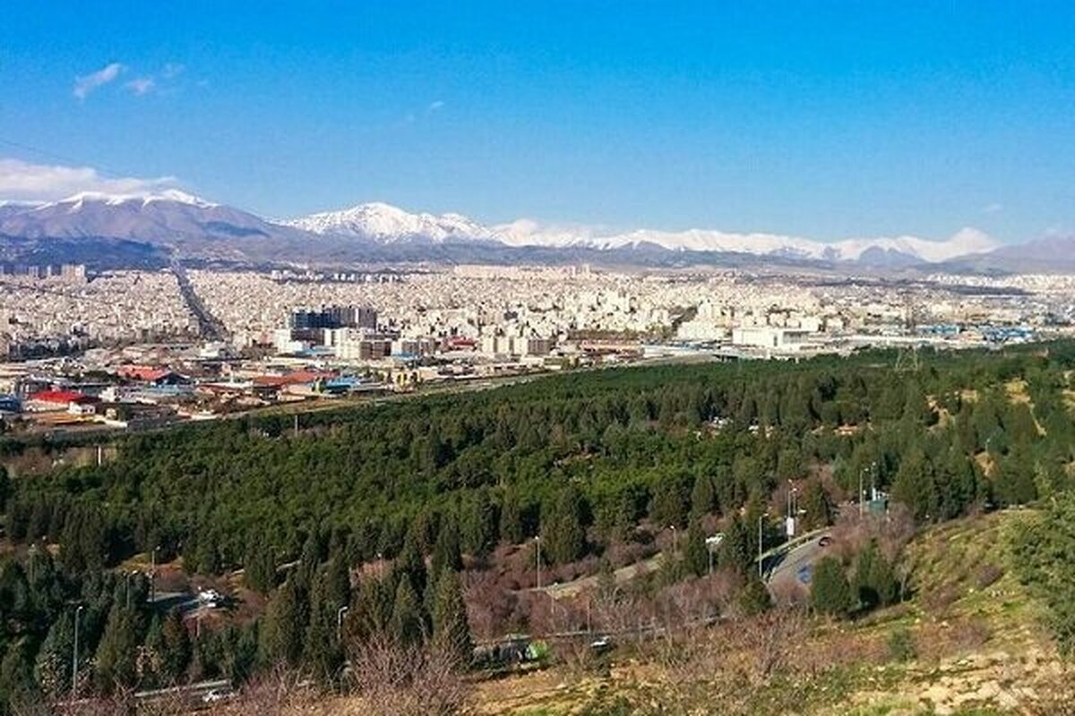 هم‌فکری برای نجات درختان سرخه‌حصار