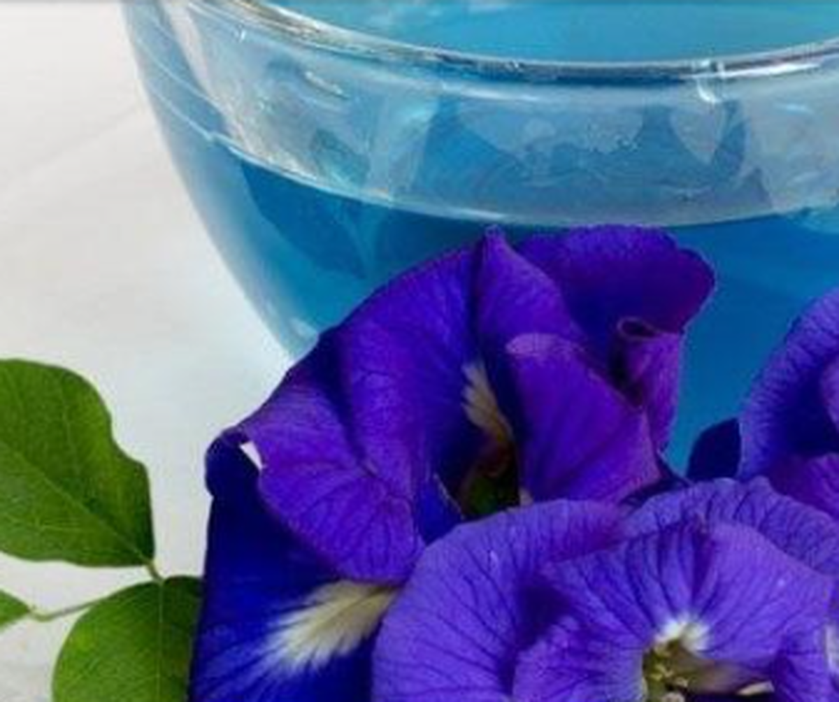خواص معجزه آسای سنبل‌الطیب و گل گاوزبان