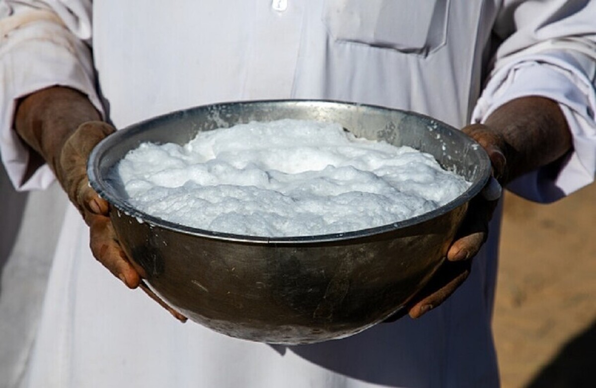 عربستان سعودی: شیر شتر به زودی به چین می‌رود