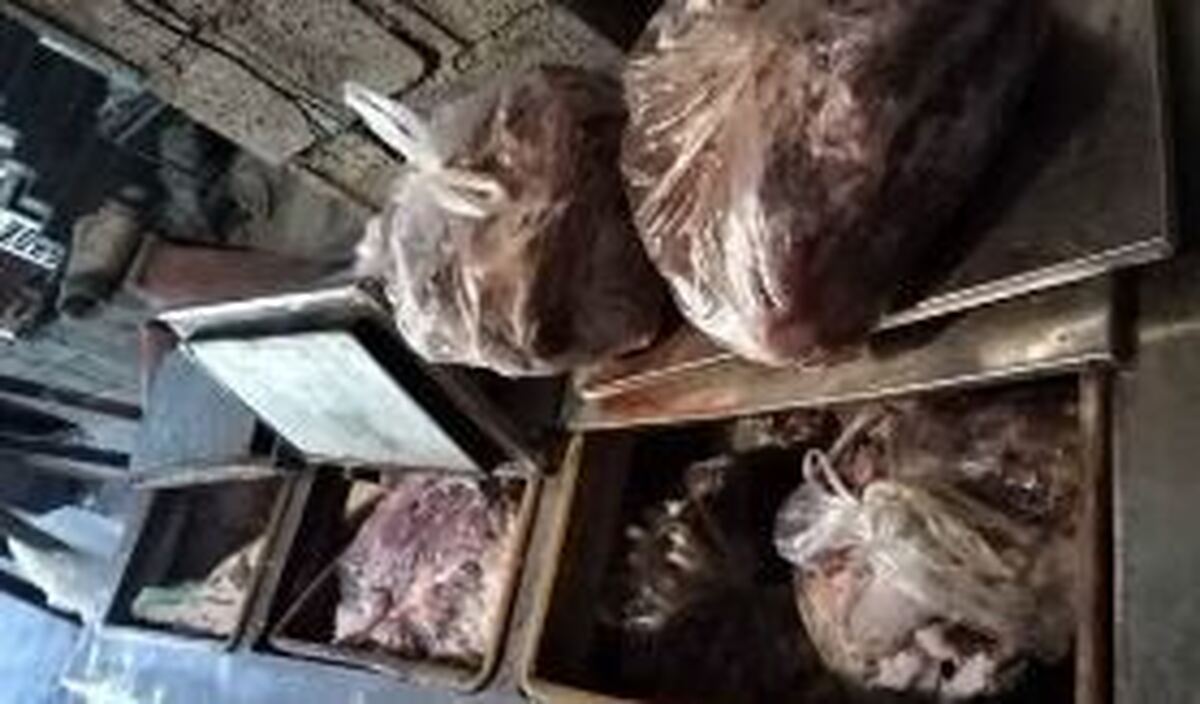 کشف ۳۰۰ کیلوگرم گوشت گراز در سوادکوه