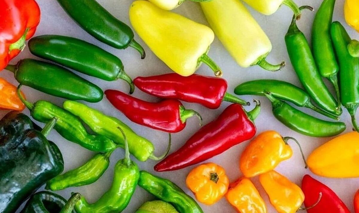 ۸ خاصیت درمانی و مفید مصرف این ماده غذایی را بدانید