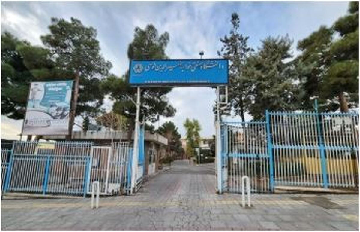 دو دانشجو بار دیگر مورد حمله زورگیران قرار گرفتند