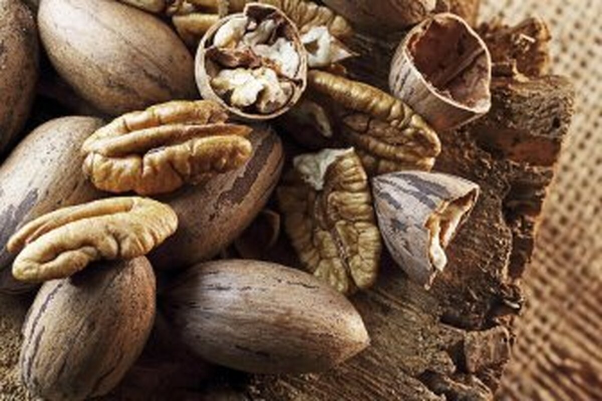 جایگزینی تنقلات با گردوی آمریکایی ممکن است سطح کلسترول را بهبود بخشد