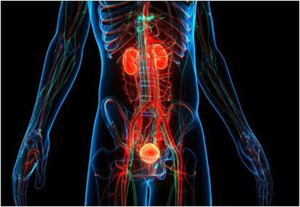 مثانه هم به جمع اعضای پیوندی پیوست!