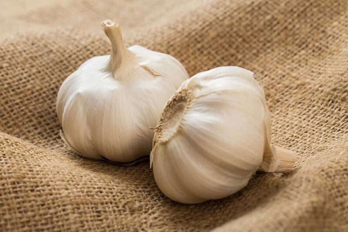 بررسی خواص خوردن سیر خام در شب