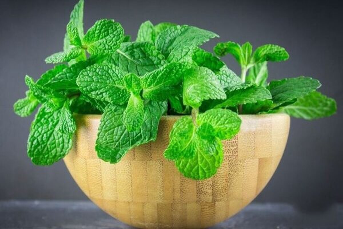 حالت تهوع چگونه ایجاد میشود؟