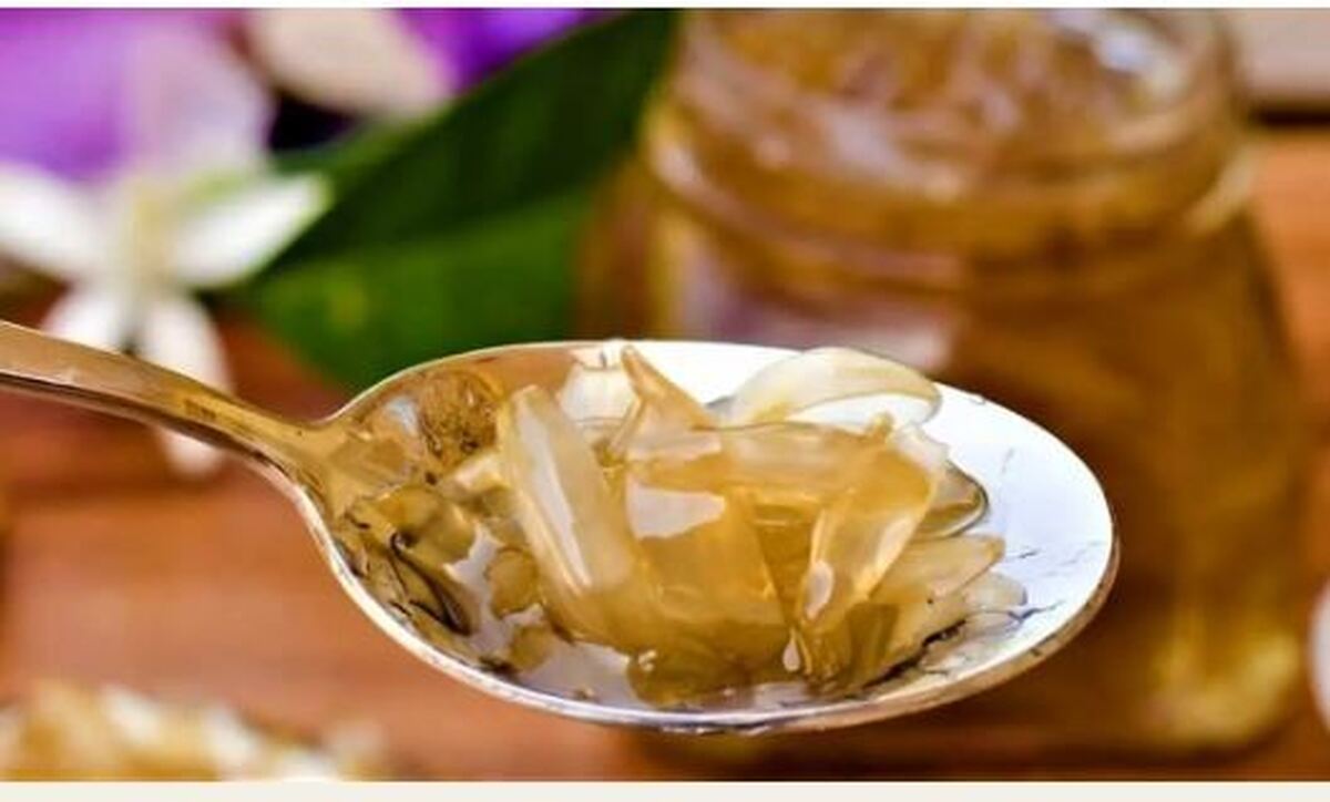 تا فصل عوض نشده این مارمالاد بهاری را از دست ندهید