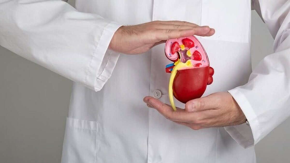 آیا می‌دانستید فشار خون بالا سلامت کلیه‌های شما را هدف می‌گیرد؟