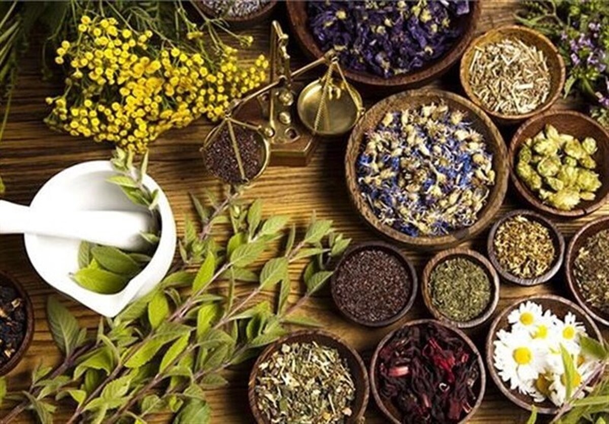 دبیرخانه ملی گیاهان دارویی در نطنز ایجاد شد