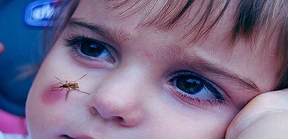 علت بالا رفتن ناگهانی آمار مبتلایان به «مالاریا» چیست؟