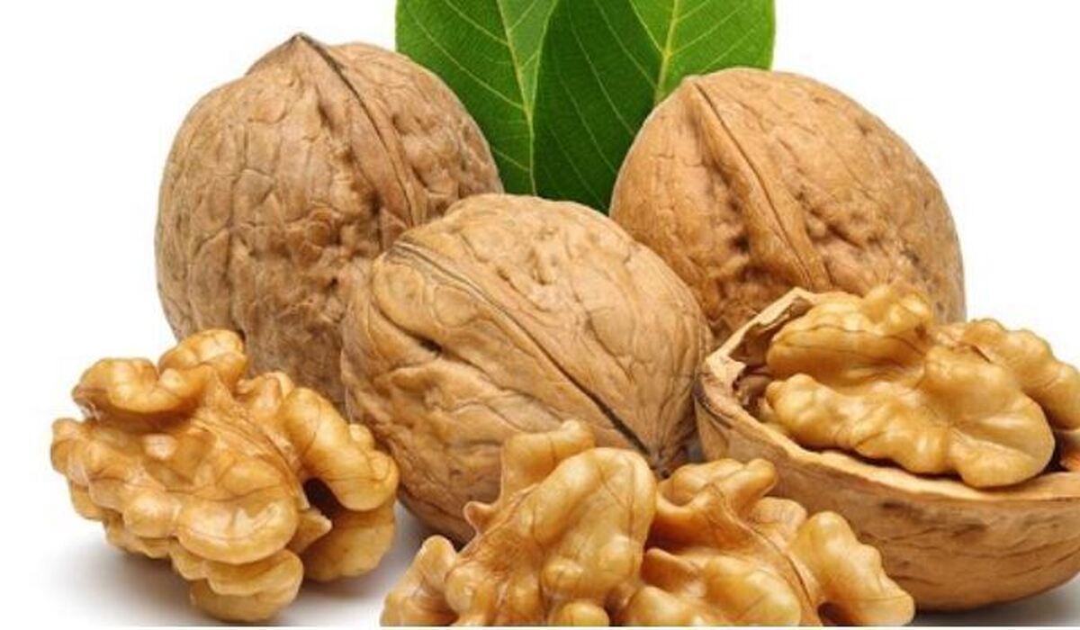 خاصیت بی نظیر گردو که کمتر کسی آن را می‌داند!