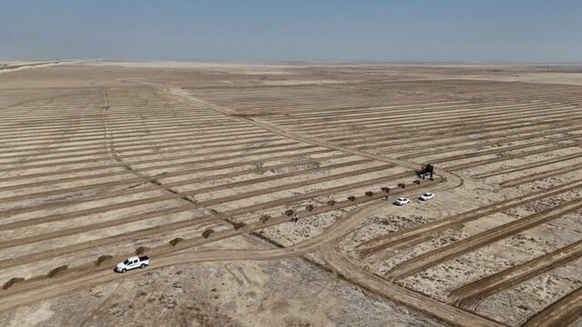 ۳۵۰ هزار هکتار از اراضی بیابانی خوزستان، کانون بحرانی ریزگرد هستند