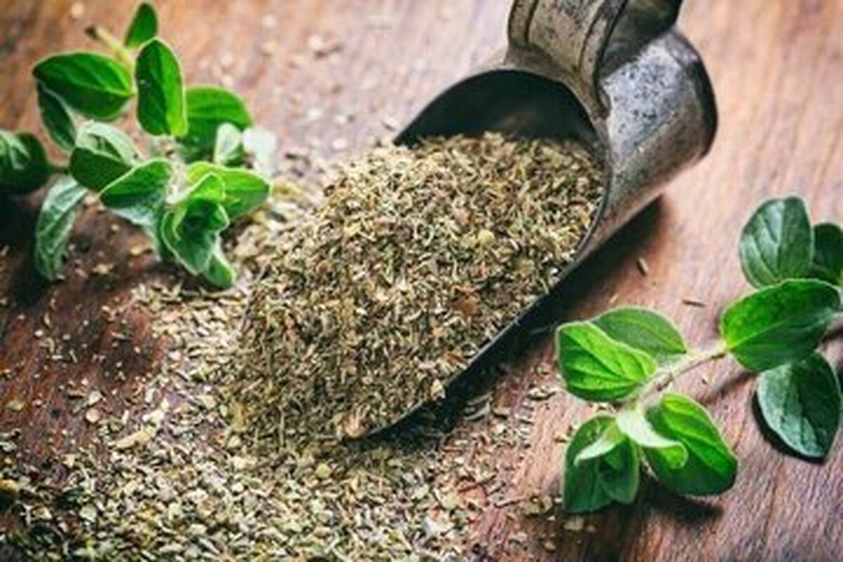 از فواید آویشن برای سلامتی بدن غافل نشوید