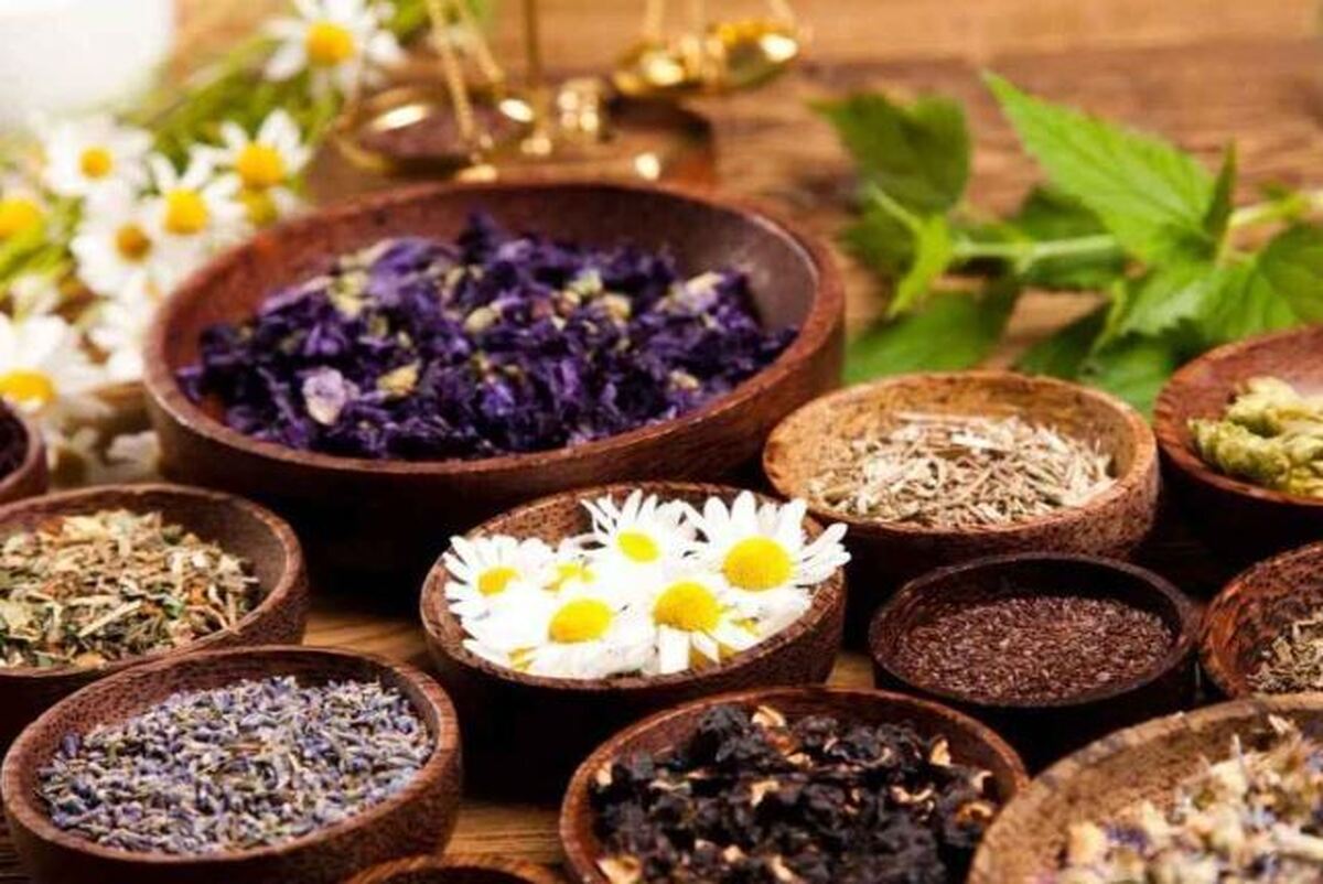 تبعات مصرف بی رویه گیاهان دارویی را جدی بگیرید
