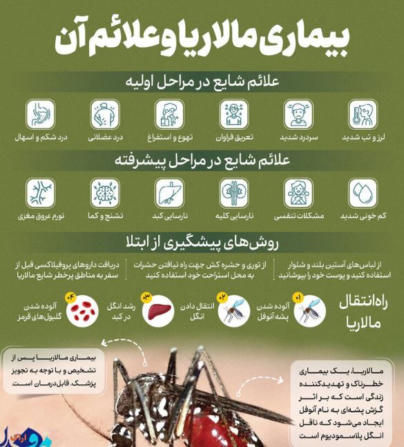 بیماری مالاریا با این نشانه‌ها بروز پیدا می‌کند+عکس