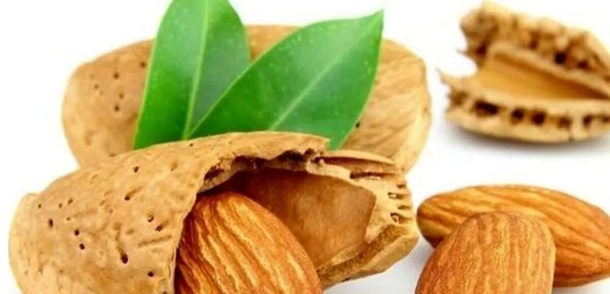 خواص بی نظیر بادام را بر افزایش کیفیت سلامت تان را دست کم نگیرید