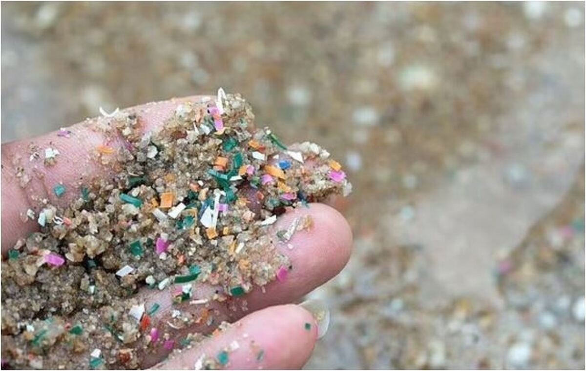 وجود میکروپلاستیک‌ها در اقیانوس ساکنین این محل‌ها را در معرض خطر قرار داد