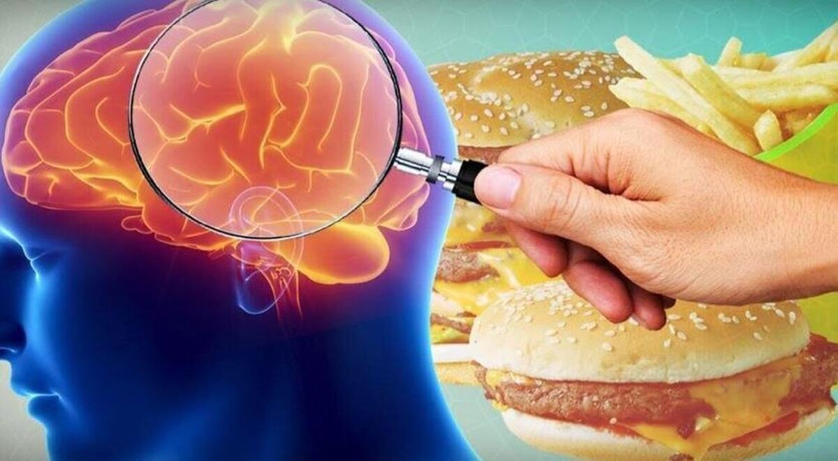 مصرف مداوم فست فود چه تاثیری بر مغز می‌گذارد؟