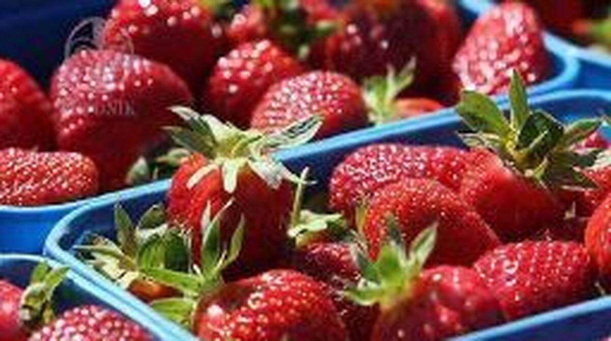 تاثیر رنگ ها در افزایش اشتها و تغذیه انسان