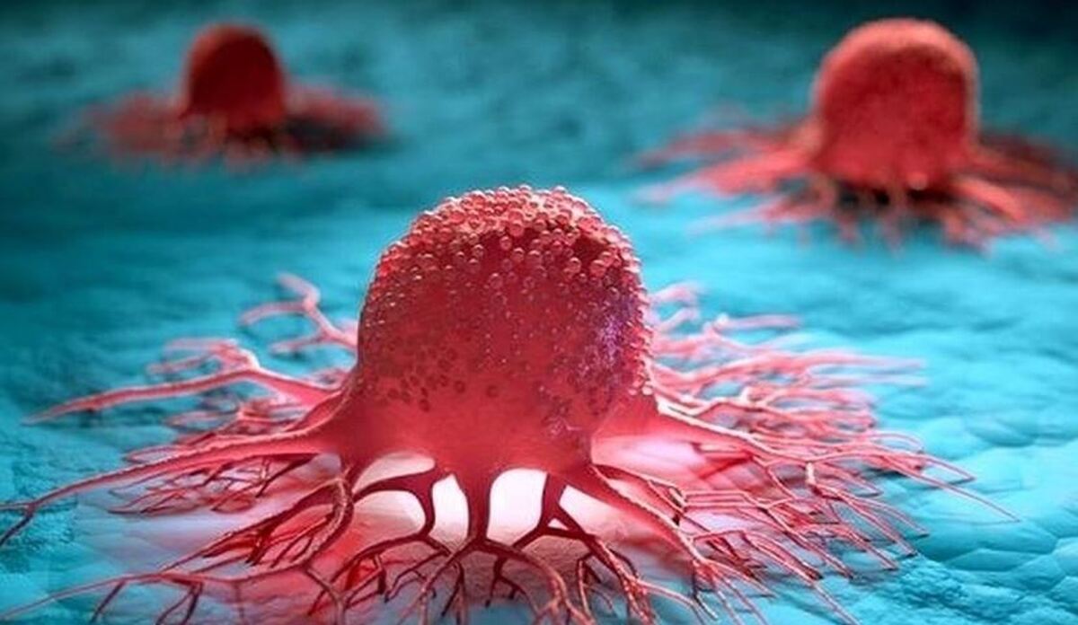 پیامد منفی و کشنده استفاده روزانه از روغن‌های پخت و پز!