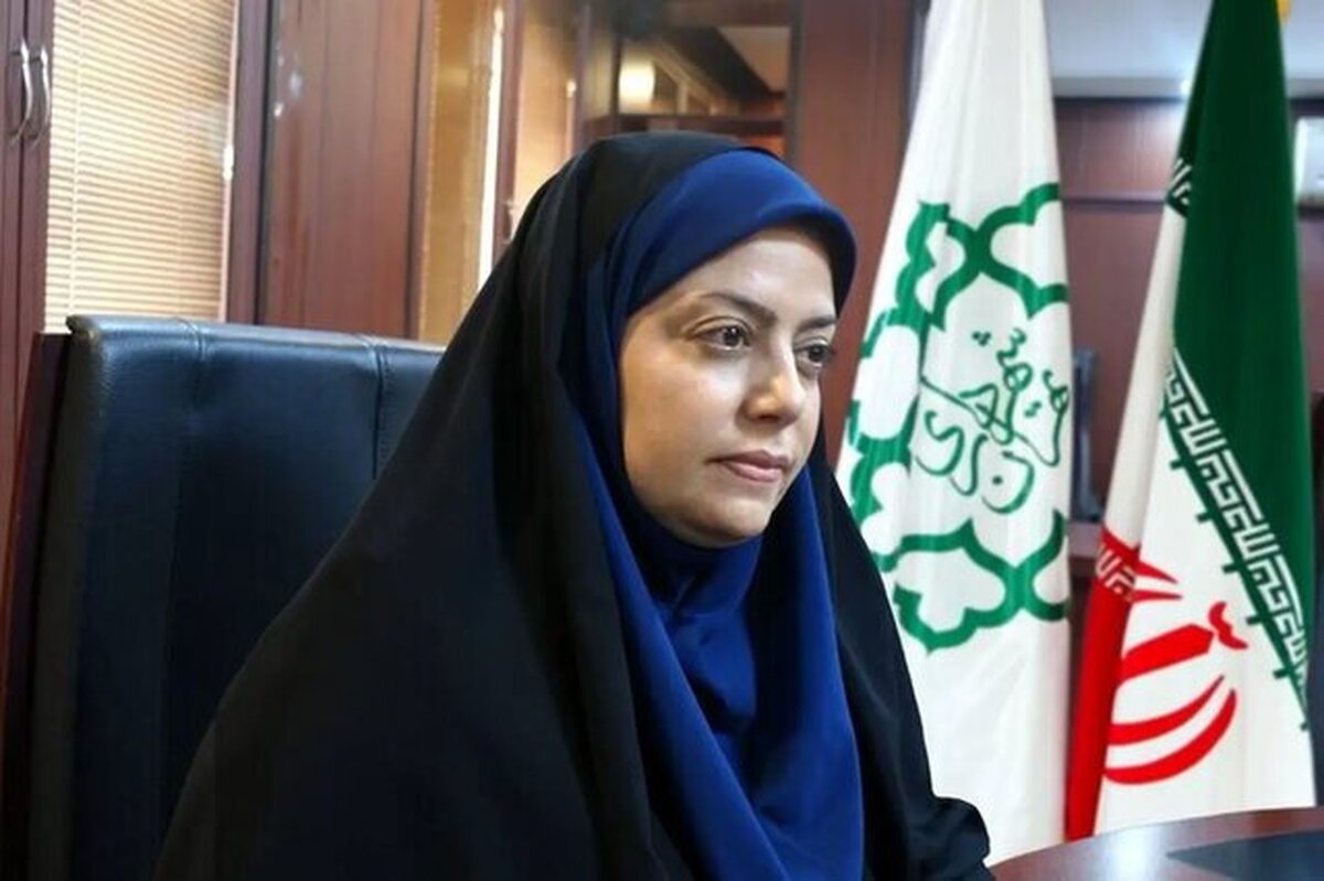 تحویل ون تاکسی‌های جدید در آینده‌ای نزدیک/ نصب ۱۶۰ دستگاه نازل شارژ خودرو‌های برقی