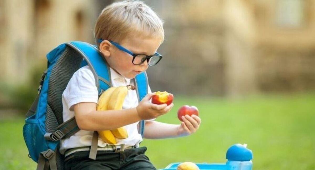 بهترین زمان برای مصرف میوه و بهره مندی از خواصشان را بدانید