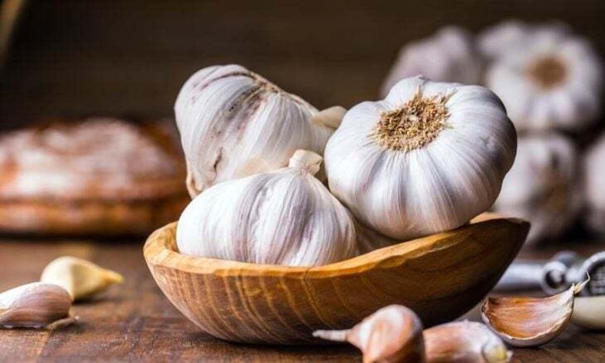 غذا و دارو| ۱۰ فایده سیر برای سلامتی