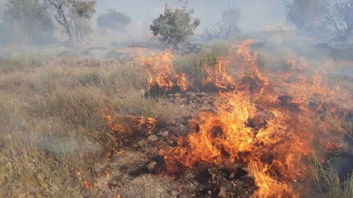 آتش‌سوزی گسترده در پارک ملی دز
