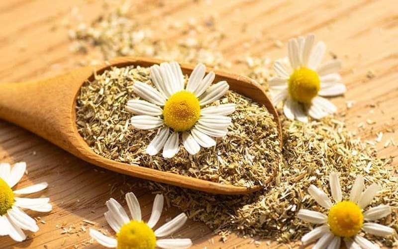 نسخه گیاهی از ترکیبات ضد اضطراب
