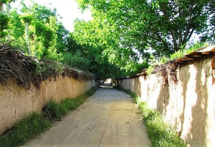 کوچه باغ‌های عطرآگین قصرالدشت؛ مکانی رویایی برای خاطره سازی‌های دونفره