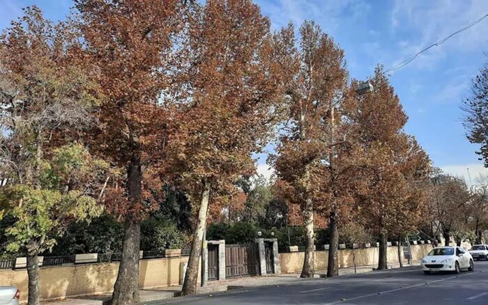 کوچه باغ‌های عطرآگین قصرالدشت؛ مکانی رویایی برای خاطره سازی‌های دونفره