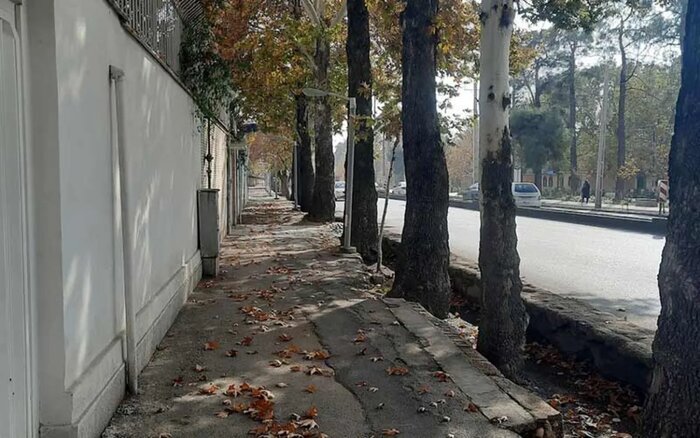 کوچه باغ‌های عطرآگین قصرالدشت؛ مکانی رویایی برای خاطره سازی‌های دونفره