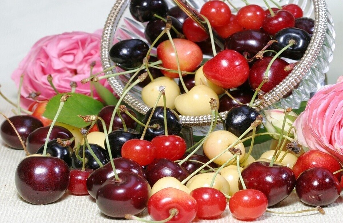 فواید غیرمنتظره گیلاس