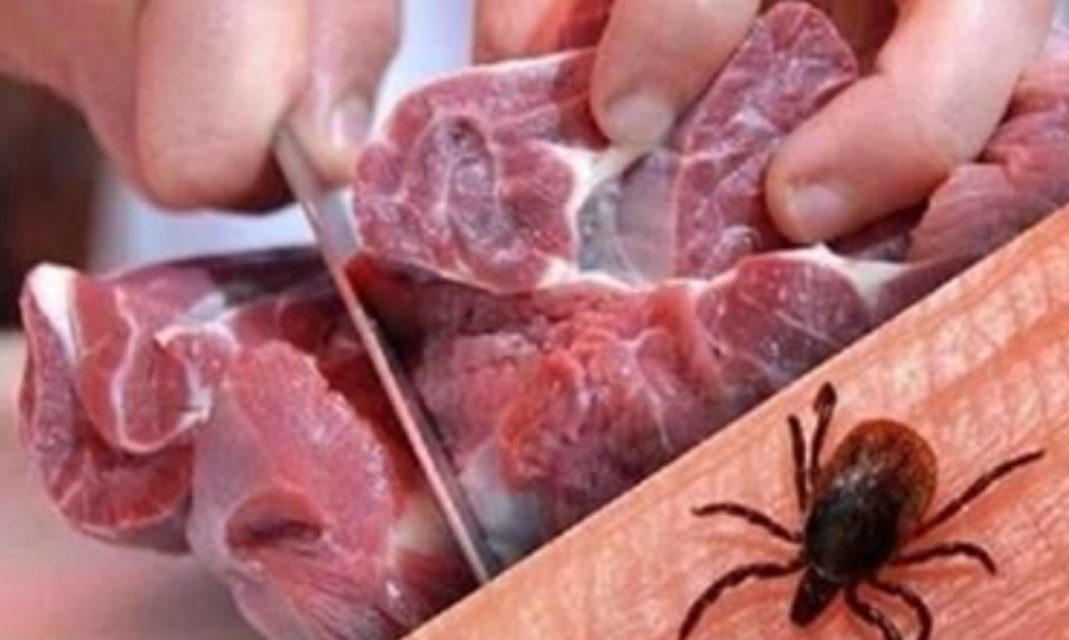 با علائم ابتلا به تب کریمه کنگو آشنا شوید!